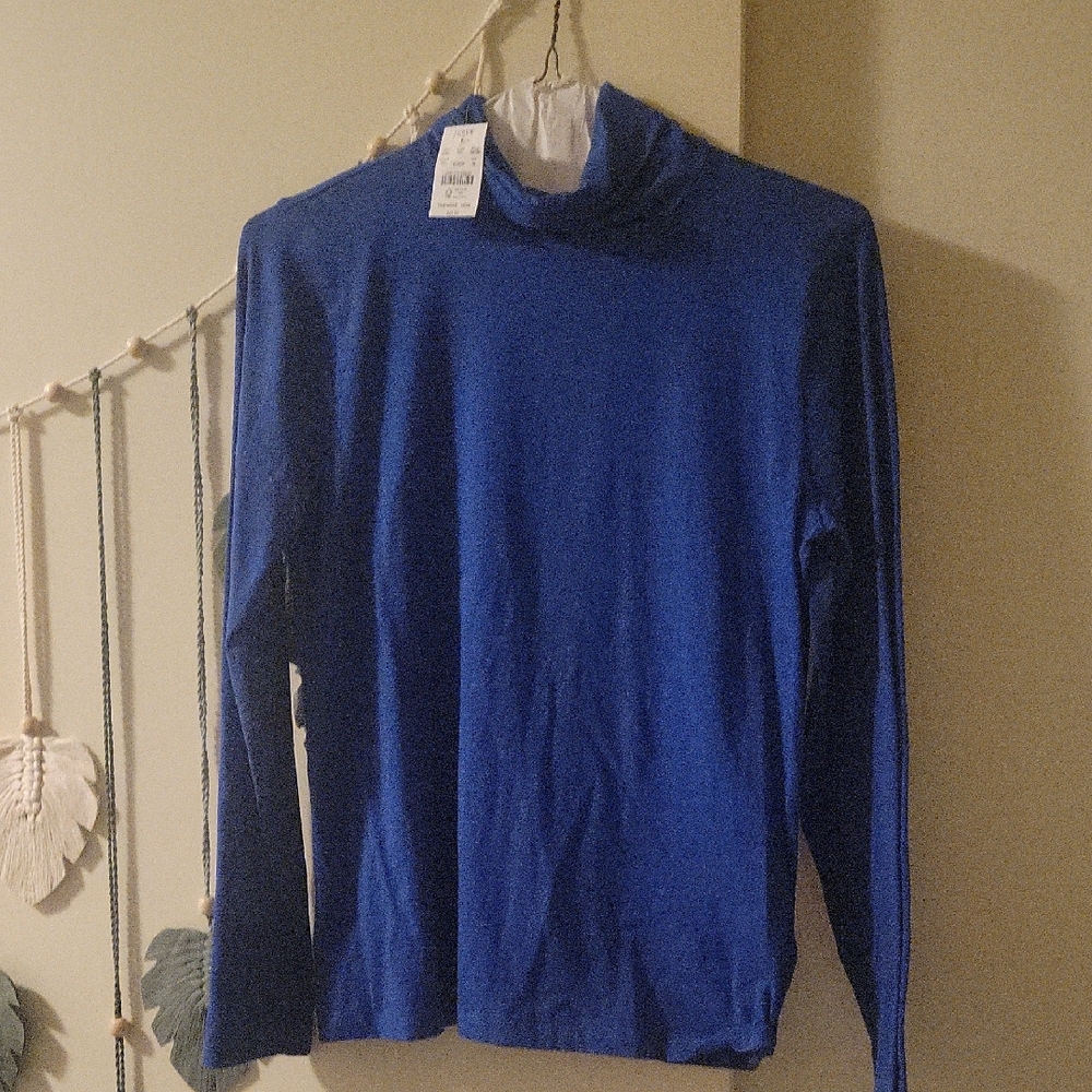 J. Crew Blue Turtleneck